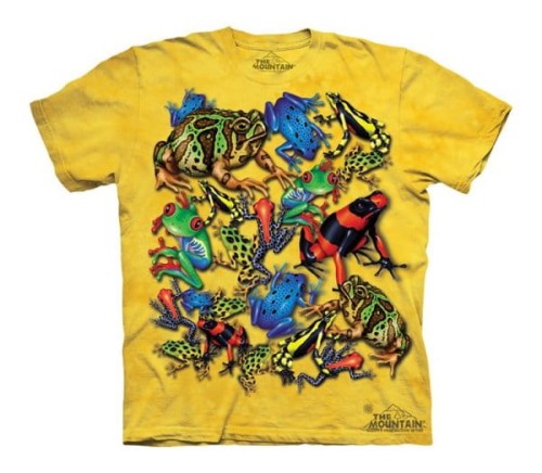 bc46a8d85c300126e2c6bfa7b76ff5e6