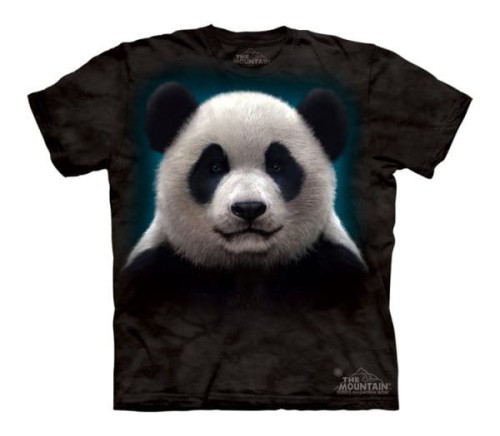 817877d74c27604f9fbe03300431ec34