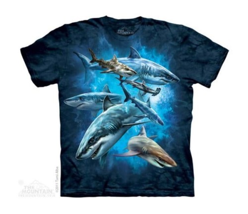 fe73836ff068e4dcd9d07767c7397553