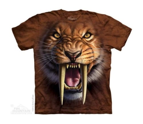 51ae13b8da647ad9751d45dbe1bec02d