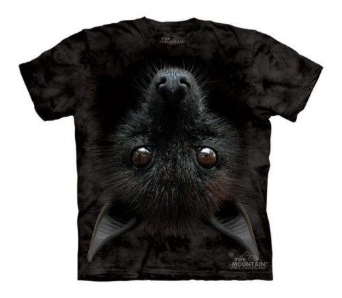 0118cdec4b915d404a933132d7f317fd