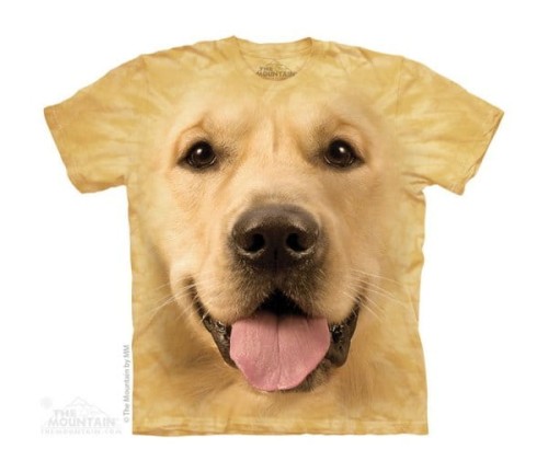 0836e75ee251686534f23d2d1bfcd66c