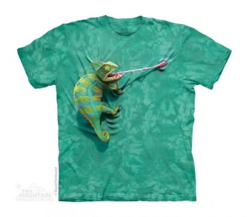 cb74c0d2625e56cc387b1cb6e732ffd3