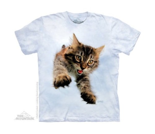 0be7b4a4cfb3650087443df9fd23a7c6