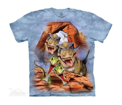 9c0295a88327ea034bc0eef8b87fc702