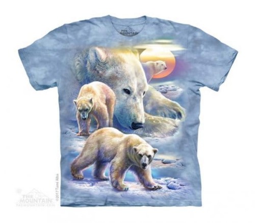 ab8542ca16f5d2e5e3ee38ab08cab456