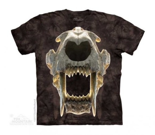 6572fe7eabc2e624ef31238b683c8dce