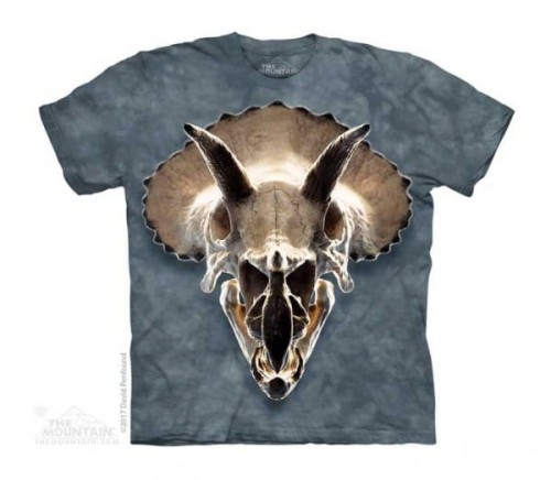 659c13e9df10a1c635642835404e046f