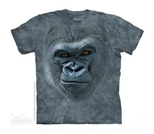 04b76ca9c82a437d74b88f776681f56f