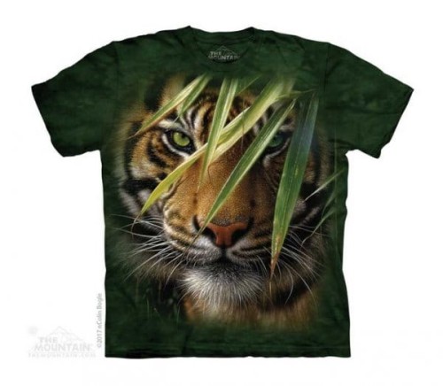 16502d90562b6df03d588b0adc59b4ff