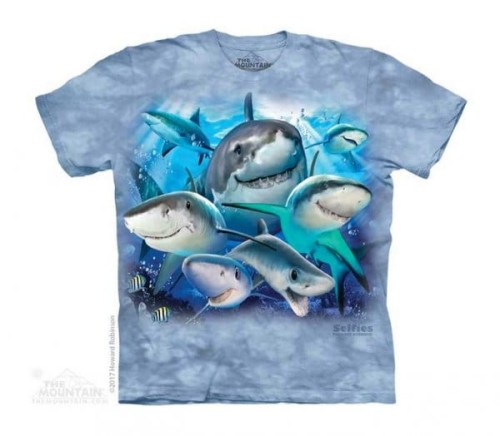 6138b9822b21159513d707937f9a021a