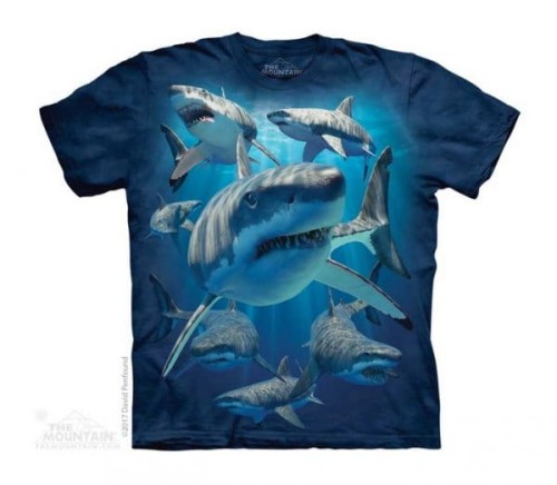 d48f48ddfe3e0f4730c2c5632dd9b986