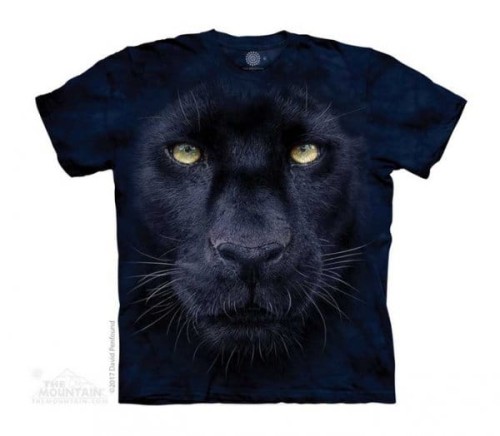 c412870cc436b4fb1b8395b10143d9cd