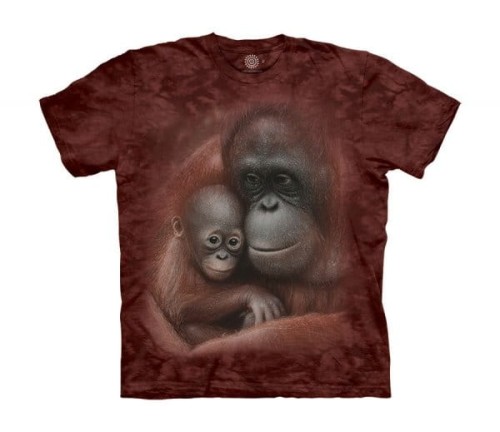 f095874f17b120e57ab508cc372f6c99