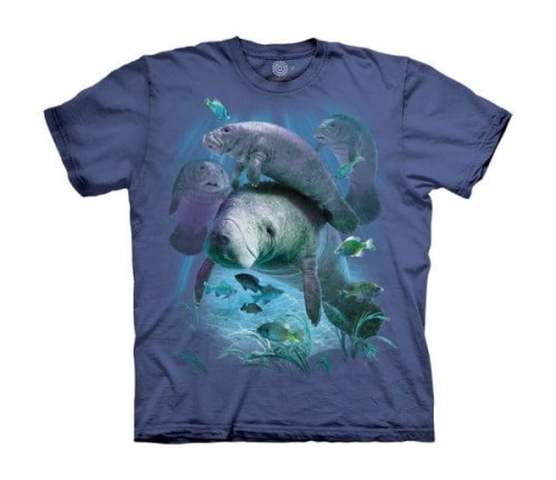 2872b09ebe5557e3492e24a054ee54d1