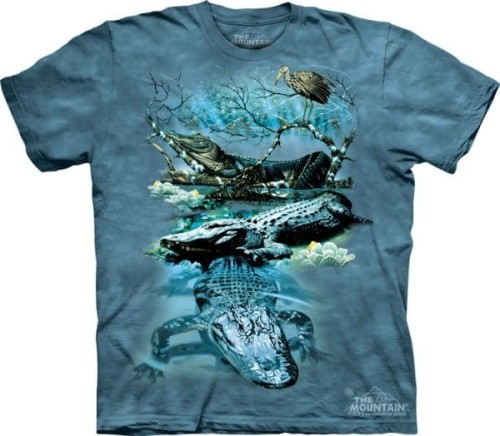 f55b93f0050b8893c3a0ee2d2233a721