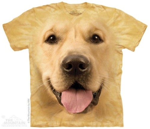 3eb6d28e33a21cd17868a14fdb569889