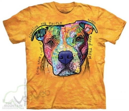 6361002eb2f0b81931b6d00bef11b5ca