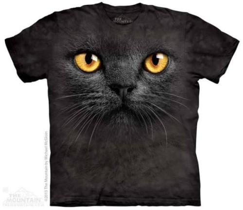 b4de03d0e4275bd275fa5fc6bbf07803