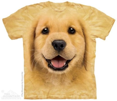 d5f8a5bac38ef74aafd96349bb2a5488