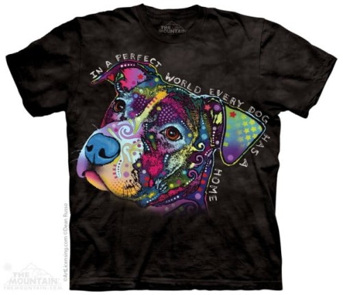 2cd51c9090a5f61fb127af64846d5a50