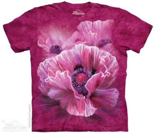 9fe0f80ece23db4737cf339ecb38a3ee