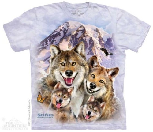 7b22906bf7cb00ec9cfbe4e821af6aea