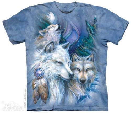 080b91ac17f34aead13383b83f901cb6