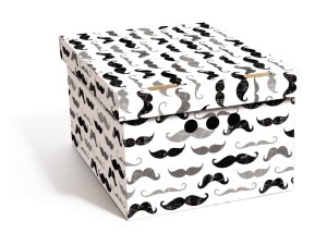 Dekoracyjne pudełko kartonowe A4, 33x25x18cm, wąsy