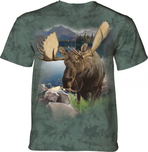 dd8067a2fcb7bd280172fae1d63c2fee