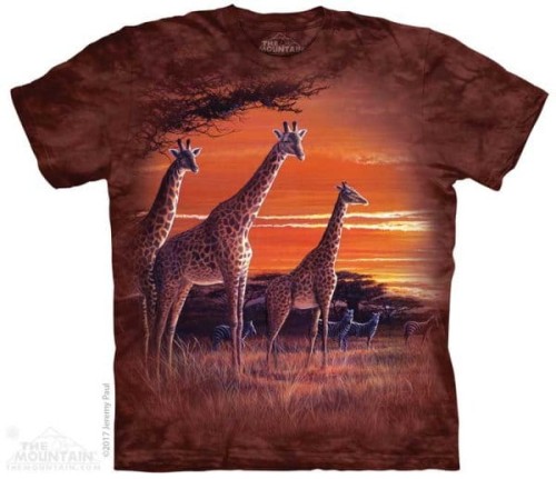 42b930d1bb5b49b74b12dd0240d10980