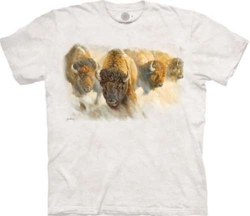 0b215aec0f6fd4532b6848f5fc0785ee