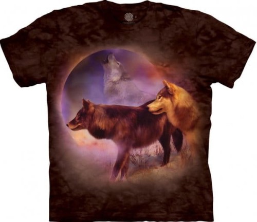 ccb7e045533e6c96f574998567fdf155