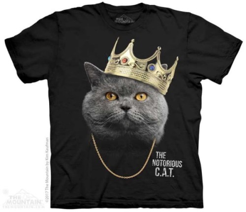 7d7f2abaf79dbdc3314fbfb340d9f02a