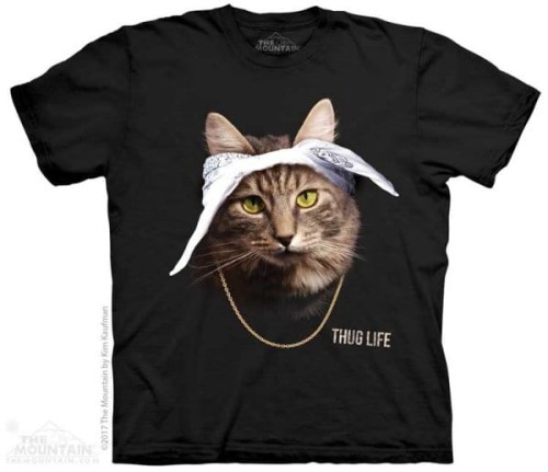 eddc94f1524282767a8192f9c0101539