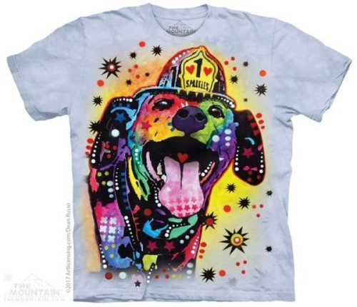 c40f1104560cf7dad142d16fb5d37802